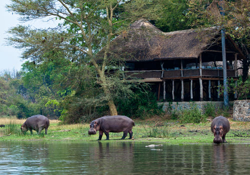 Mvuu Lodge